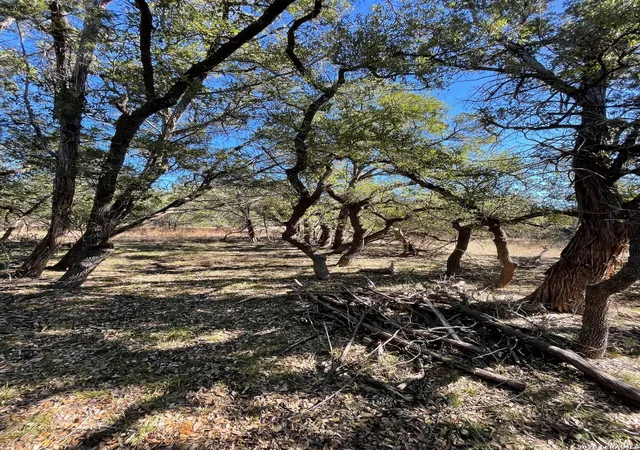 Photo 4 of Land for sale at 651 Cypress Dr, Canyon Lake, TX 78133 | MLS# 1936545 | Listing updated on 2026-02-05