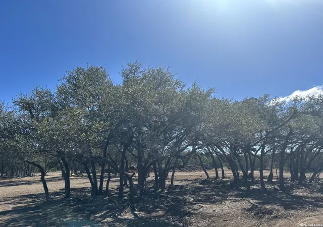 Photo 4 of Sale Pending at 717 Roessler, Bulverde, TX 78163 | MLS# 1936580 | Listing updated on 2026-03-20