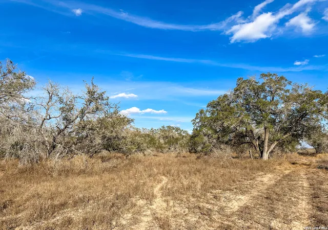 Photo 3 of Land for sale at 2703 Cr 770, Natalia, TX 78059 | MLS# 1937125 | Listing updated on 2026-07-02