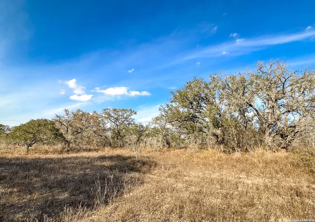 Photo 3 of Land for sale at 2703 Cr 770, Natalia, TX 78059 | MLS# 1937125 | Listing updated on 2026-07-02