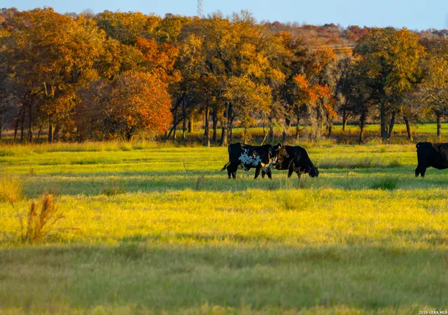 1st image of Tbd S State Hwy 123, Seguin, TX 78155 | MLS# 1937578
