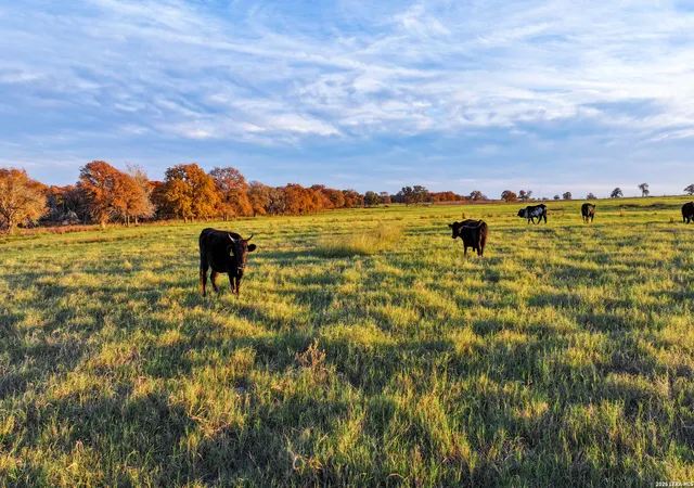 2nd image of Tbd S State Hwy 123, Seguin, TX 78155 | MLS# 1937578