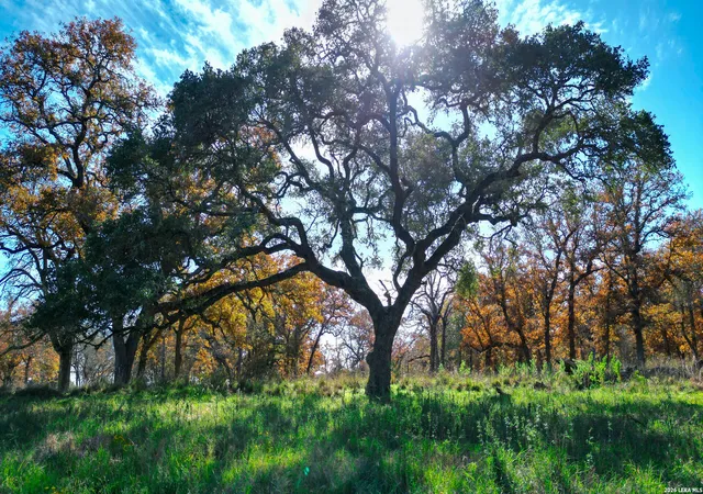 Photo 4 of Sale Pending at Tbd S State Hwy 123, Seguin, TX 78155 | MLS# 1937578 | Listing updated on 2026-02-23