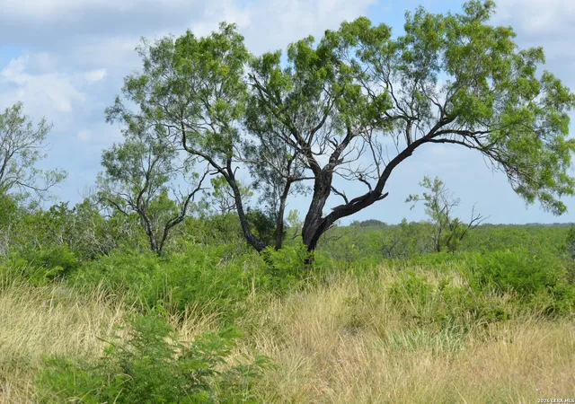 3rd image of Tbd Cr 2537/Moore Hollow Road, Moore, TX 78057 | MLS# 1937628