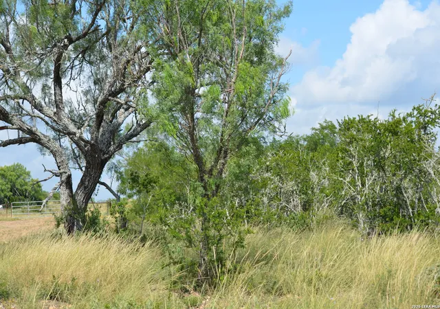 4th image of Tbd Cr 2537/Moore Hollow Road, Moore, TX 78057 | MLS# 1937628