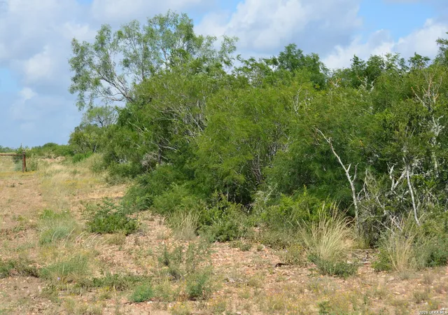 5th image of Tbd Cr 2537/Moore Hollow Road, Moore, TX 78057 | MLS# 1937628