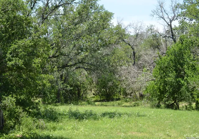 5th image of 1140 County Road 765, Moore, TX 78057 | MLS# 1937749