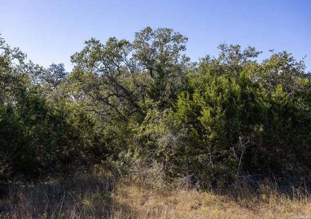 Photo 3 of Land for sale at Block 3, Lot 12 Easy Money, Boerne, TX 78006 | MLS# 1937858 | Listing updated on 2026-02-11