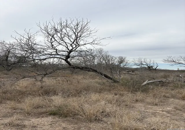 Photo 3 of Land for sale at 1490 Us Hwy 90, Uvalde, TX 78801 | MLS# 1938061 | Listing updated on 2026-04-18