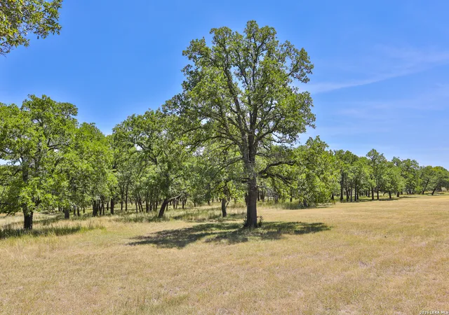 Photo 3 of Sale Pending at 32539 Tierra Robles, Bulverde, TX 78163 | MLS# 1938160 | Listing updated on 2026-08-25