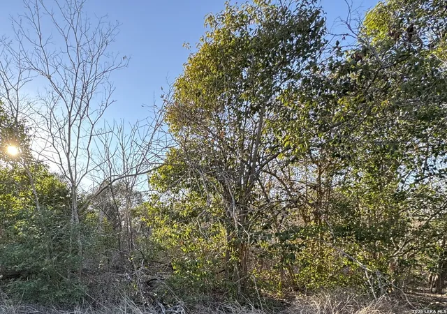 Photo 2 of Land for sale at 206 Dulce, San Antonio, TX 78228 | MLS# 1938444 | Listing updated on 2026-03-15