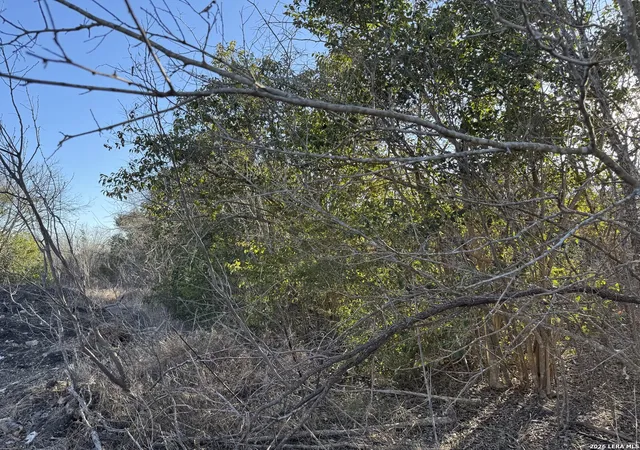 Photo 3 of Land for sale at 206 Dulce, San Antonio, TX 78228 | MLS# 1938444 | Listing updated on 2026-03-15