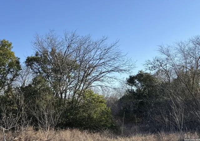 Photo 3 of Land for sale at 206 Dulce, San Antonio, TX 78228 | MLS# 1938444 | Listing updated on 2026-03-15