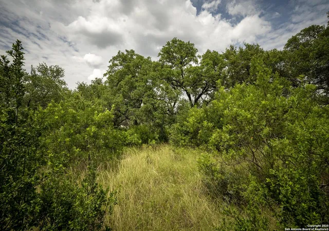 Photo 4 of Sale Pending at 23415 Collin Cyn, San Antonio, TX 78255 | MLS# 1938574 | Listing updated on 2026-02-18