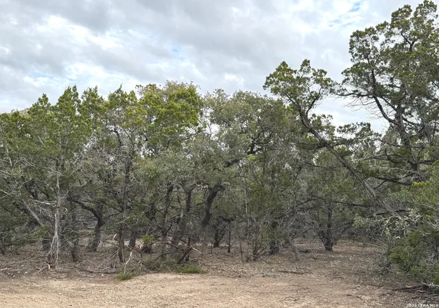 Homes for sale in Pipe Creek, TX | Tbd Stoney Hill Lane, Pipe Creek, TX 78063 | MLS# 1938624
