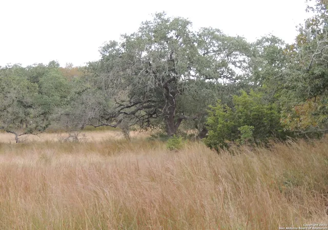 3rd image of 558 Mystic Breeze, Spring Branch, TX 78070 | MLS# 1938918