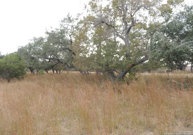 4th image of 558 Mystic Breeze, Spring Branch, TX 78070 | MLS# 1938918