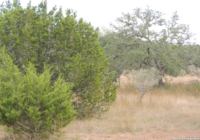 5th image of 558 Mystic Breeze, Spring Branch, TX 78070 | MLS# 1938918