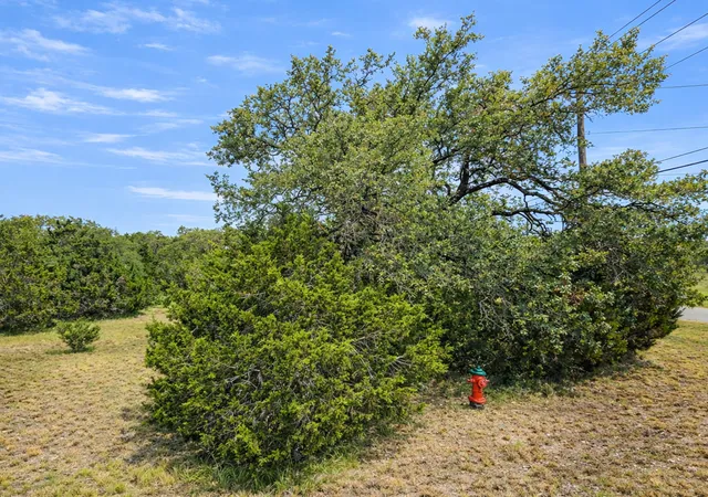 5th image of 210 Coneflower, Spring Branch, TX 78070 | MLS# 1939195