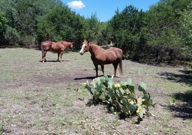 Photo 1 of Land for sale at 1035 (lot 1777) Mystic Breeze, Spring Branch, TX 78070 | MLS# 1939590 | Listing updated on 2026-09-14