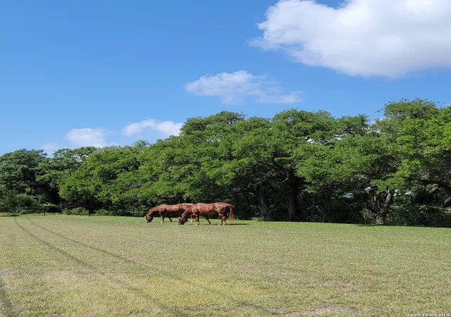 Photo 4 of Land for sale at 1035 (Lot 1777) Mystic Breeze, Spring Branch, TX 78070 | MLS# 1939590 | Listing updated on 2026-09-14