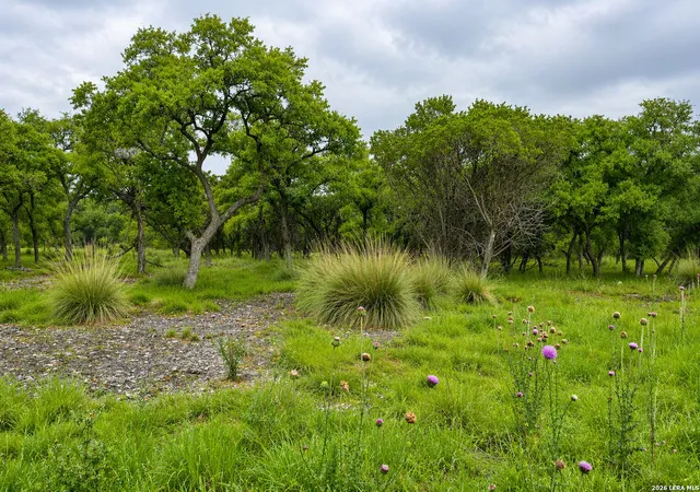 5th image of 30 Clearwater Canyon, Bandera, TX 78003 | MLS# 1939611