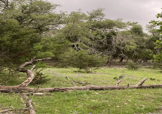 Photo 1 of Land for sale at 106 Ulmus, Fredericksburg, TX 78624 | MLS# 1939625 | Listing updated on 2026-02-17