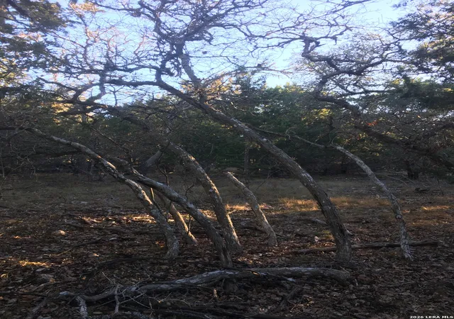 Photo 3 of Land for sale at 106 Ulmus, Fredericksburg, TX 78624 | MLS# 1939625 | Listing updated on 2026-02-17