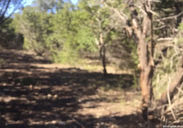 Photo 1 of Land for sale at 451 Stallion Estates, Spring Branch, TX 78070 | MLS# 1940032 | Listing updated on 2026-02-09
