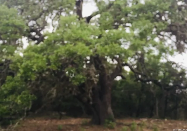 Photo 2 of Land for sale at 451 Stallion Estates, Spring Branch, TX 78070 | MLS# 1940032 | Listing updated on 2026-02-09