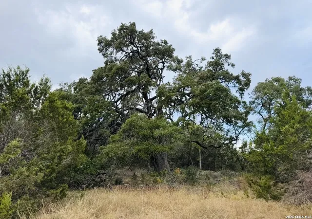 Photo 3 of Land for sale at 451 Stallion Estates, Spring Branch, TX 78070 | MLS# 1940032 | Listing updated on 2026-02-09
