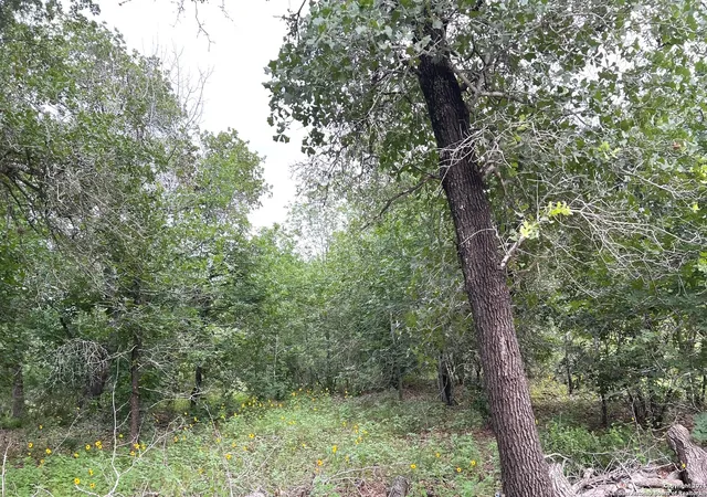 Photo 3 of Land for sale at 606 Sherrywood Ln, San Antonio, TX 78264 | MLS# 1940183 | Listing updated on 2026-08-19