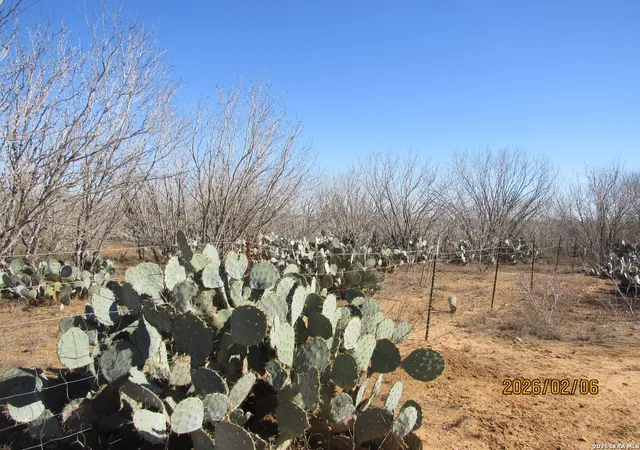 4th image of 2662 County Road 307, Floresville, TX 78114 | MLS# 1940504