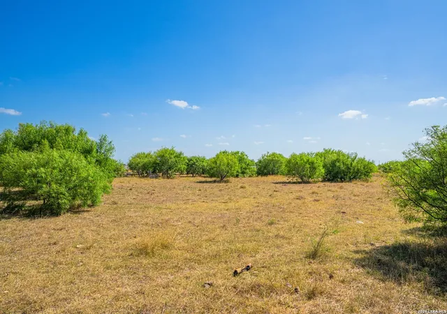 Photo 30 of Land for sale at 8579 County Road 1839, Sinton, TX 78387 | MLS# 1940517 | Listing updated on 2026-02-24