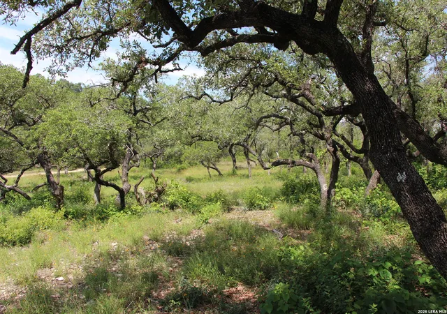 Homes for sale in Helotes, TX | Lot 52 Clear Water Cyn, Helotes, TX 78023 | MLS# 1940583