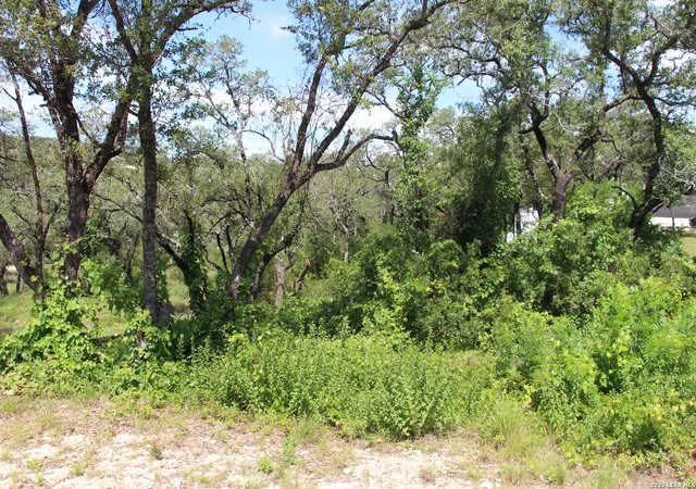 Homes for sale in Helotes, TX | Lot 52 Clear Water Cyn, Helotes, TX 78023 | MLS# 1940583