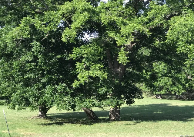 Photo 3 of Land for sale at 25631 Morhiss Point, Boerne, TX 78006 | MLS# 1940684 | Listing updated on 2026-02-22
