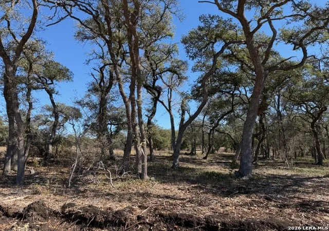 Photo 4 of Land for sale at 25631 Morhiss Point, Boerne, TX 78006 | MLS# 1940684 | Listing updated on 2026-02-22