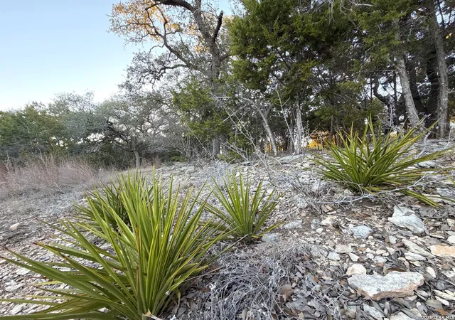 Photo 2 of Land for sale at 209 Legacy, Canyon Lake, TX 78133 | MLS# 1941009 | Listing updated on 2026-06-27