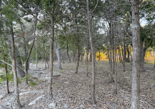 Photo 1 of Land for sale at 209 Legacy, Canyon Lake, TX 78133 | MLS# 1941009 | Listing updated on 2026-06-27
