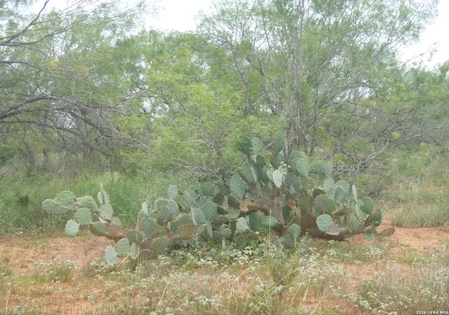 Photo 3 of Sale Pending at 4253 E Fm 462, Moore, TX 78057 | MLS# 1941095 | Listing updated on 2026-08-21
