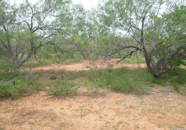 Photo 3 of Sale Pending at 4253 E Fm 462, Moore, TX 78057 | MLS# 1941095 | Listing updated on 2026-08-21