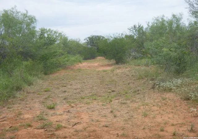 Photo 4 of Sale Pending at 4253 E Fm 462, Moore, TX 78057 | MLS# 1941095 | Listing updated on 2026-08-21