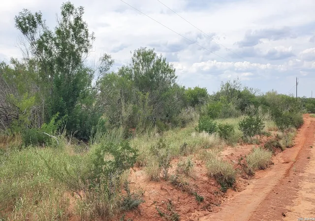 2nd image of 000 Carrol Rd, Cotulla, TX 78014 | MLS# 1941582