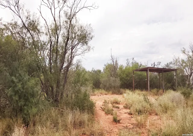 4th image of 000 Carrol Rd, Cotulla, TX 78014 | MLS# 1941582