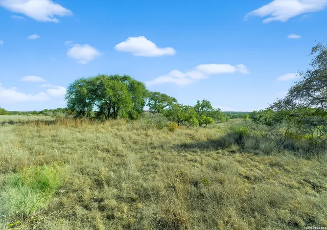 4th image of 732 Whiskey Trail, Blanco, TX 78606 | MLS# 1941614