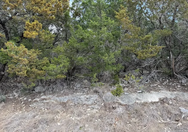 Photo 4 of Sale Pending at 2192 Waterfront Park Dr, Canyon Lake, TX 78133 | MLS# 1942025 | Listing updated on 2026-04-15