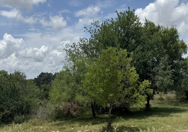 2nd image of 290 Strasbourg, Castroville, TX 78009 | MLS# 1943063