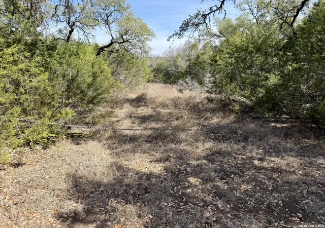 Photo 2 of Land for sale at 310 Spring, Spring Branch, TX 78070 | MLS# 1943597 | Listing updated on 2026-03-06
