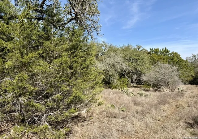 Photo 3 of Land for sale at 310 Spring, Spring Branch, TX 78070 | MLS# 1943597 | Listing updated on 2026-03-06
